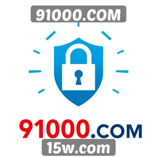 Avaliação da segurança em 91000.COM para jogadores